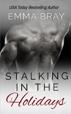 Cover of Stalking in the Holidays