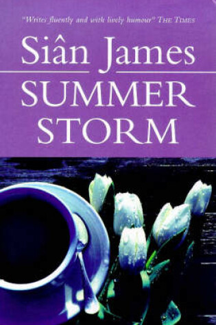 Cover of Summer Storm