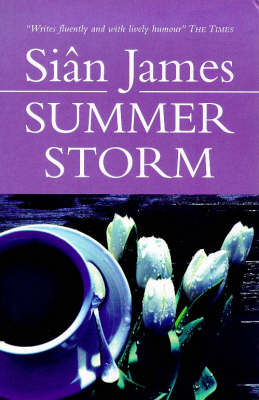 Book cover for Summer Storm