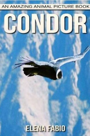 Cover of Condor