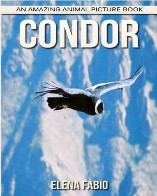 Book cover for Condor