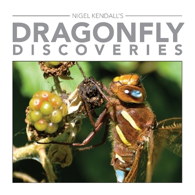 Book cover for Dragonfly Discoveries