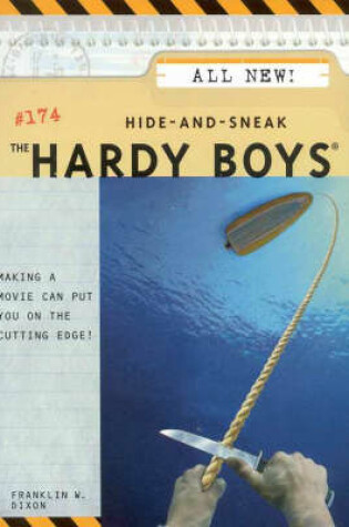 Cover of Hide and Sneak