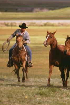 Book cover for 2020 Daily Planner Horse Photo Equine Cowboy Herding Ranch 388 Pages