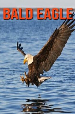 Cover of Bald Eagle