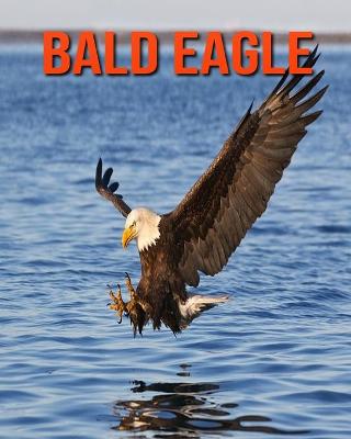 Book cover for Bald Eagle