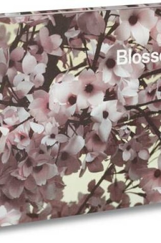 Cover of Blossom