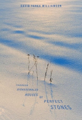 Book cover for Through Disassembled Houses of Perfect Stones