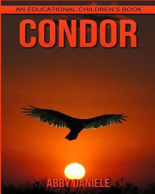 Book cover for Condor! An Educational Children's Book about Condor with Fun Facts & Photos