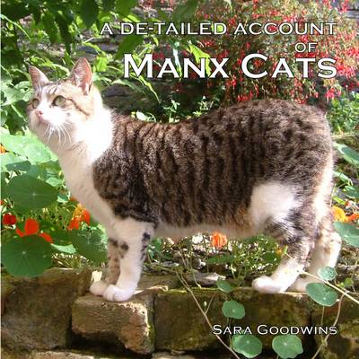 Book cover for A De-tailed Account of Manx Cats