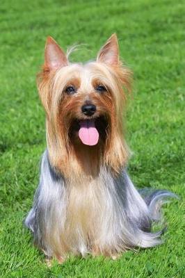 Book cover for The Silky Terrier Dog Journal