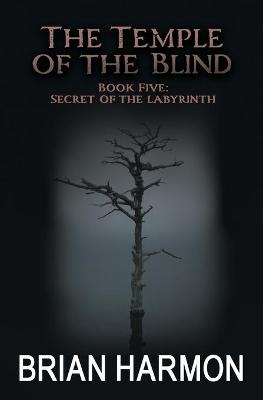 Book cover for Secret of the Labyrinth