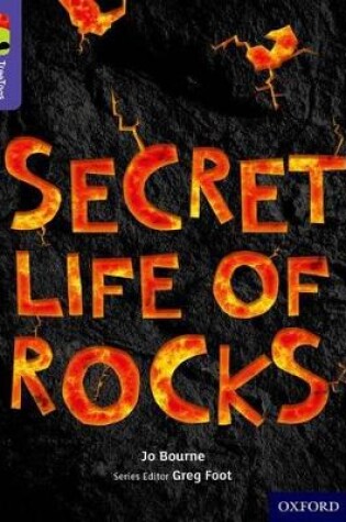 Cover of Oxford Reading Tree TreeTops inFact: Level 11: Secret Life of Rocks