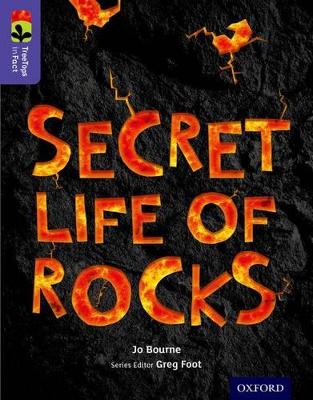 Cover of Oxford Reading Tree TreeTops inFact: Level 11: Secret Life of Rocks