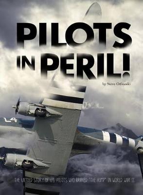 Book cover for Pilots in Peril!