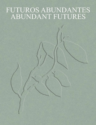 Book cover for Abundant Futures