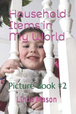Book cover for Household Items in My World
