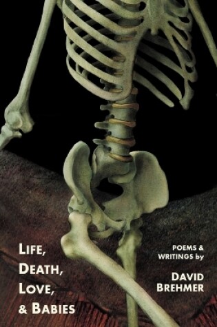 Cover of Life, Death, Love, and Babies