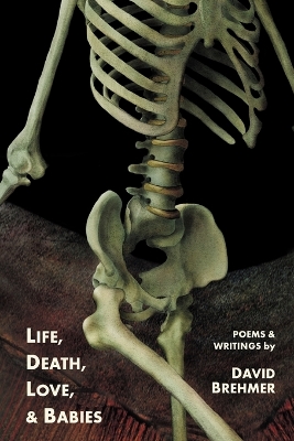 Cover of Life, Death, Love, and Babies