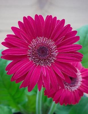 Cover of Gerbera Gardening Journal