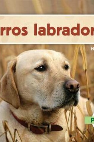 Cover of Los Perros Labradores, Los