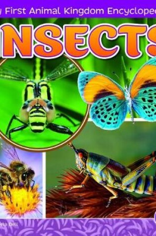 Cover of Insects (My First Animal Kingdom Encyclopedias)
