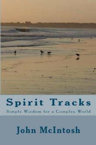 Cover of Spirit Tracks