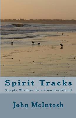 Book cover for Spirit Tracks