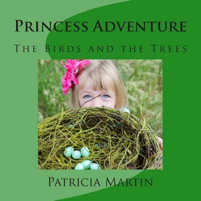 Book cover for Princess Adventure