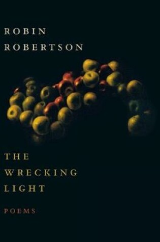 Cover of Wrecking Light