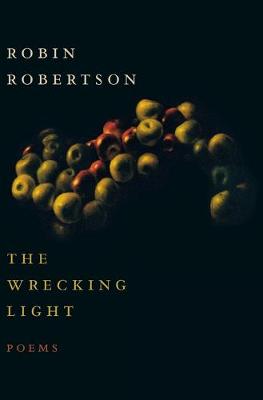 Book cover for Wrecking Light
