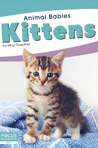 Cover of Animal Babies: Kittens