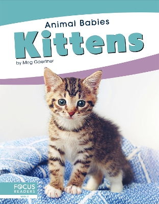 Book cover for Kittens