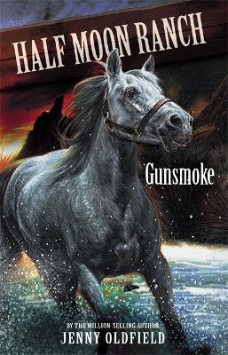 Book cover for Gunsmoke