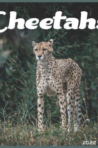 Cover of Cheetahs 2022 Calendar