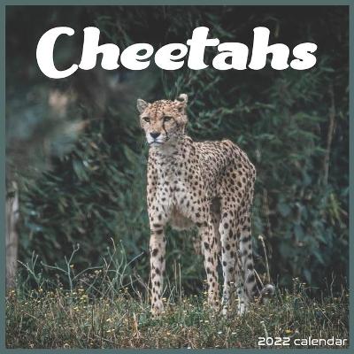 Cover of Cheetahs 2022 Calendar