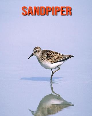 Book cover for Sandpiper