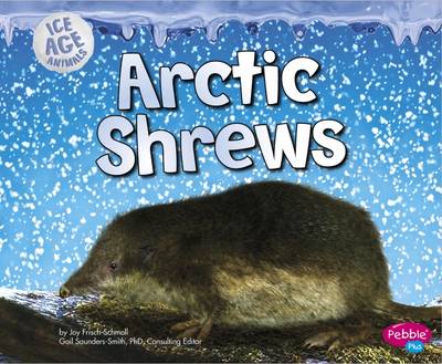 Cover of Ice Age Animals