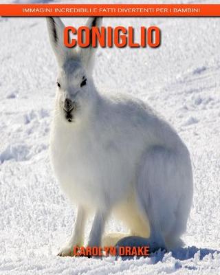 Cover of Coniglio