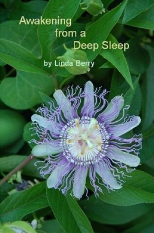 Cover of Awakening from A Deep Sleep
