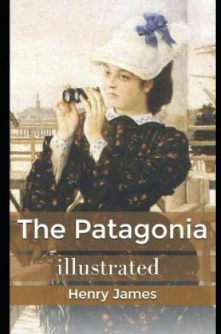 Cover of The Patagonia illustrated