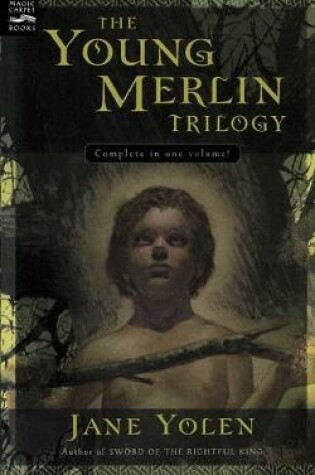 Cover of The Young Merlin Trilogy