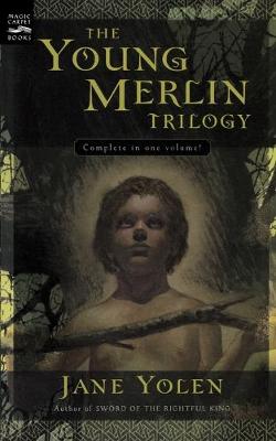 Book cover for The Young Merlin Trilogy