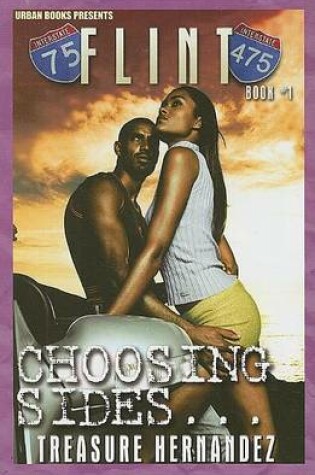 Cover of Flint 1: Choosing Sides