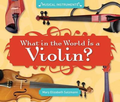 Book cover for What in the World Is a Violin?