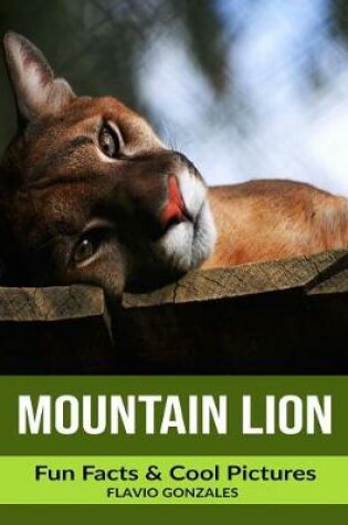 Cover of Mountain Lion