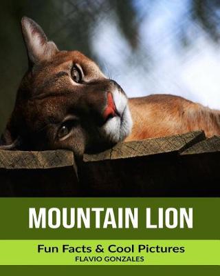 Book cover for Mountain Lion