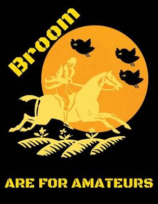 Book cover for Broom are for amateurs