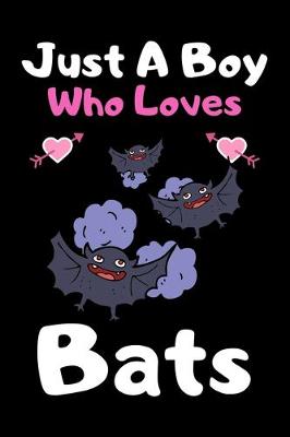 Book cover for Just a boy who loves bats