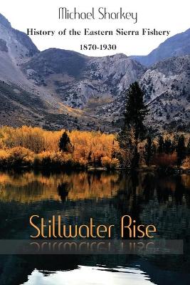 Book cover for Stillwater Rise